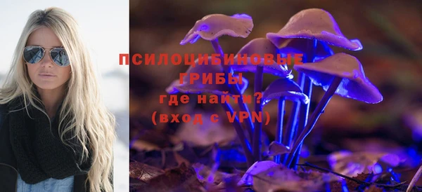 МДМА Белокуриха