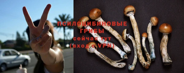прущие грибы Белоозёрский