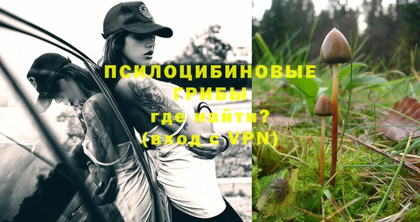 спиды Балахна