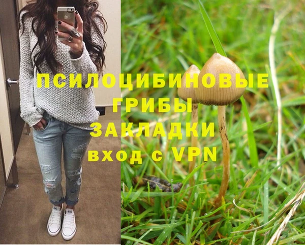 спиды Балахна