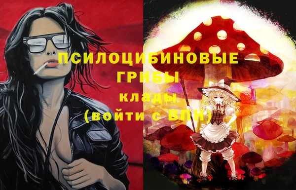 МДМА Белокуриха