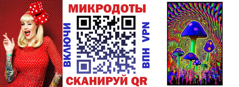 Галлюциногенные грибы Psilocybe  Семикаракорск 